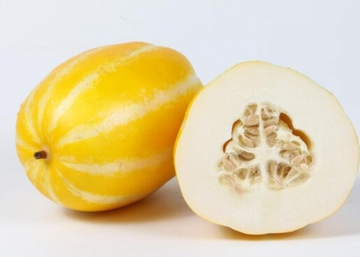 Blewah, Buah Segar Kaya Manfaat untuk Kesehatan Tubuh