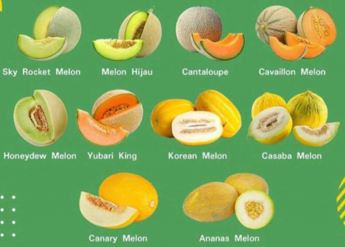 Mengenal 10 Jenis Melon Yang Populer di Dunia, Nomor 6 Harganya Jutaan Rupiah