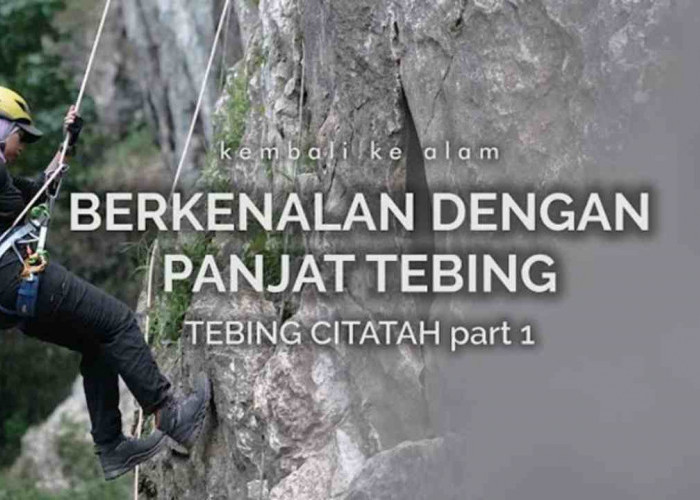 Panjat Tebing, Berani Coba? Olahraga Ekstrem yang Bikin Deg-degan!