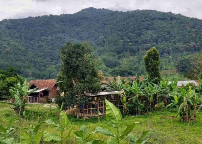 8 Desa Unik di Indonesia: Cerita Keistimewaan Nama dan Kehidupan Sehari-hari