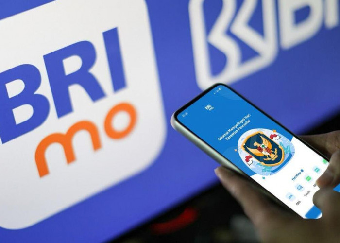 Kelola Uang Makin Mudah dengan Fitur Atur Limit Transaksi Kartu Debit di BRImo!