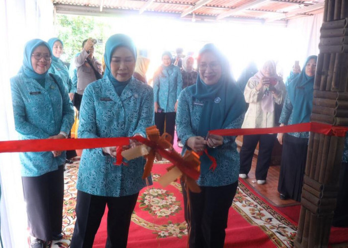 Ketua TP PKK Sumsel Resmikan Rumah Dilan Naga Berkarya di OKU
