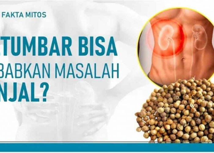 Hati-Hati! Ketumbar Kebanyakan Bisa Ganggu Kesehatan Ginjal, Ini Penjelasannya!