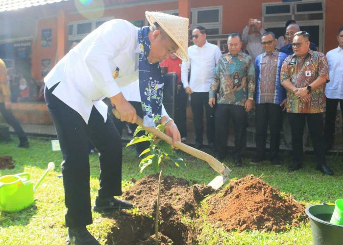 Wagub Sumsel Cik Ujang Tanam Pohon di SMAN 1 Lubuklinggau, Dorong Terwujudnya Sekolah Hijau