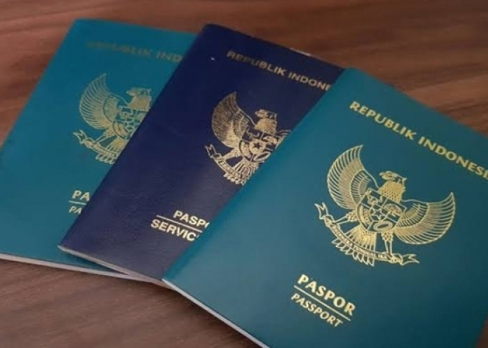 Kenapa Warna Paspor di Indonesia Berbeda-beda? Simak Kegunaan dan Pemegangnya 