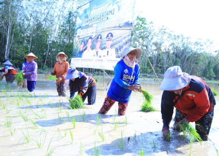 Herman Deru: Kami Optimistis Sumsel Naik ke Peringkat 2 Nasional Produksi Beras