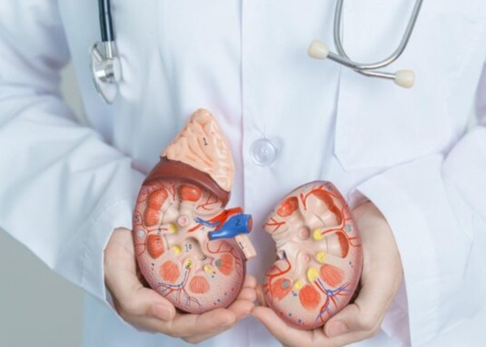 Hati-Hati Sejak Bangun Tidur! 5 Kebiasaan Pagi yang Diam-Diam Merusak Ginjal