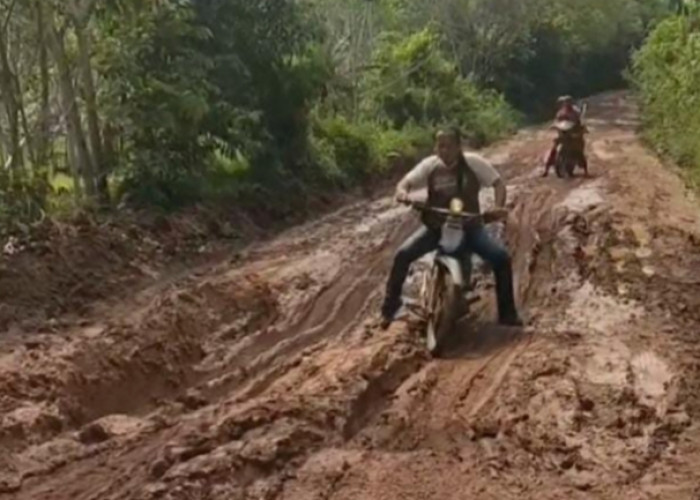 Warga Lebung Minta Pindah ke Muara Enim, Kecewa Jalan Rusak tak ada Perbaikan, PUPR : Tahun Depan Diperbaiki