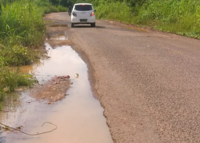 Jalan Provinsi di Desa Ini Rusak Parah, Berlubang dan Licin