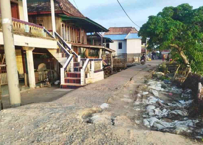 Memprihatinkan! Jalan Desa Tanjung Menang Musi Terancam Putus Akibat Abrasi Air Pasang