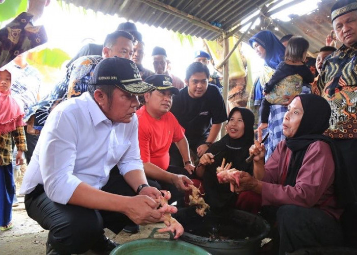 Herman Deru  Apresiasi  Inisiatif Masyarakat Desa Merah Mata Kembangkan Komoditi Laos