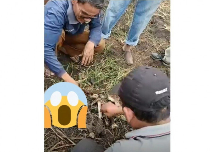 Warga Temukan Kerangka Diduga Tulang Manusia di Lebung Bakar Pulau Harapan, Polisi Turun Tangan