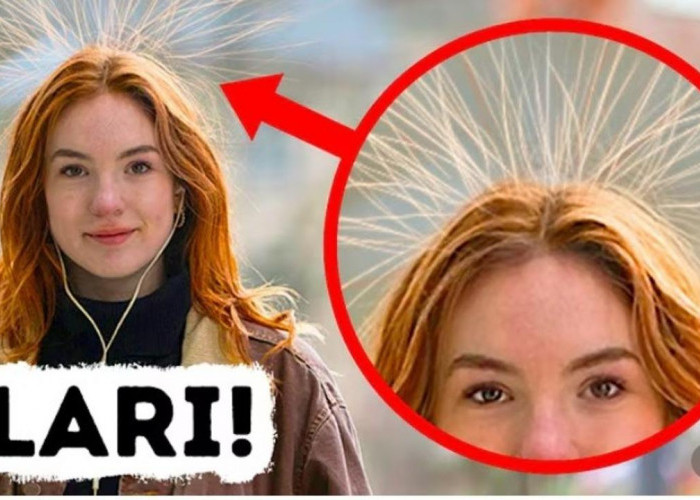 Rambut Tiba-Tiba Berdiri Saat di Luar? Waspada, Itu Bisa Jadi Tanda Petir Akan Menyambar!