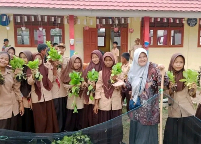 Manfaatkan Lahan Sempit, SMPN 1 Makarti Jaya Banyuasin, Sumatera Selatan Sukses Tanam Sayuran