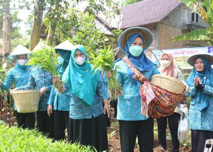 Ketua TP PKK Sumsel Feby Deru Motivasi Kader PKK OKU  Jadi Panutan Warga