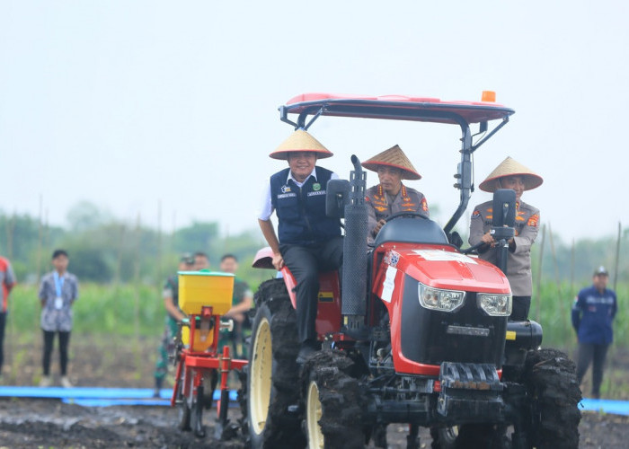 Tanam Jagung Serentak di Ogan Ilir, Herman Deru dan Kapolri Perkuat Ketahanan Pangan Nasional