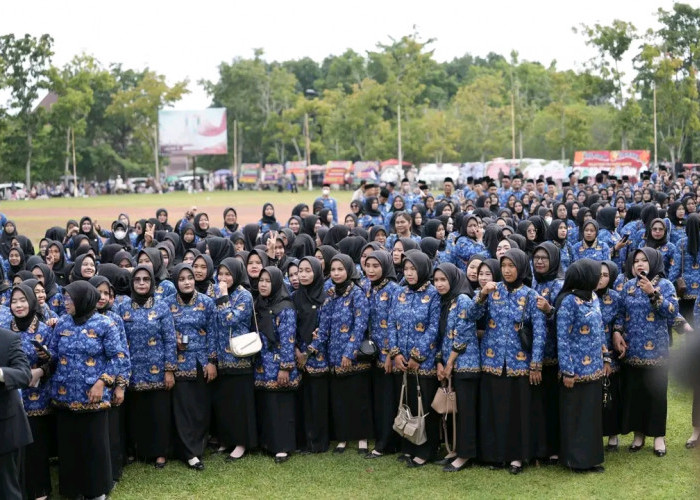 1.006 PPPK Paruh Waktu di Banyuasin Gigit Jari, Pemkab Tak Mampu Berikan THR