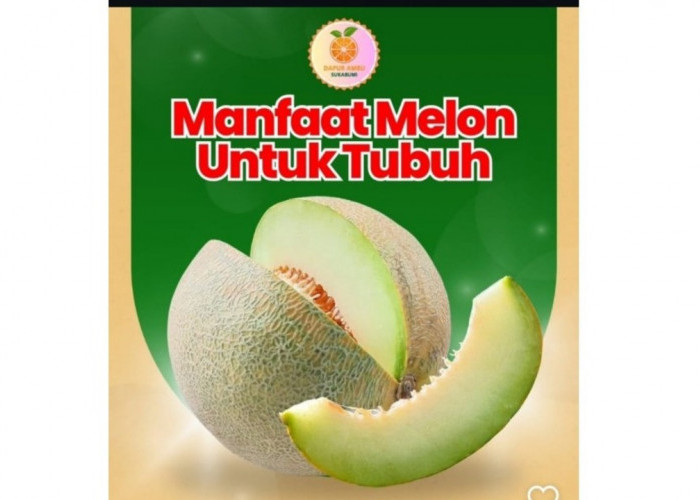 Manfaat Buah Melon bagi Kesehatan Tubuh, Segar Dikonsumsi dan Kaya Nutrisi