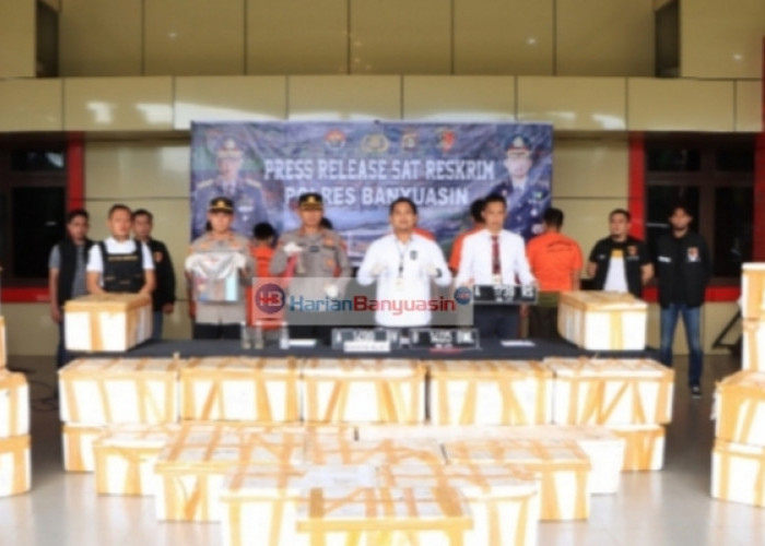 5 Warga Provinsi Banten Hendak Selundupkan Benih Lobster ke Singapura, Polisi Sita Lobster Senilai Rp19 Miliar