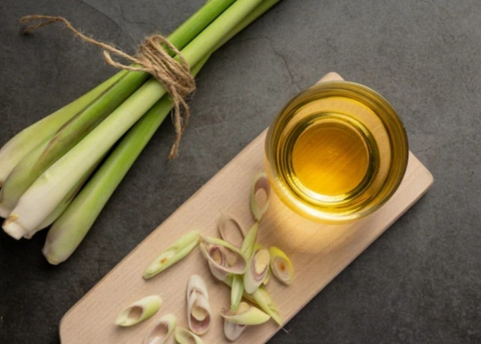 Tak Perlu Obat Nyamuk! Serai Wangi Jadi Solusi Alami yang Efektif