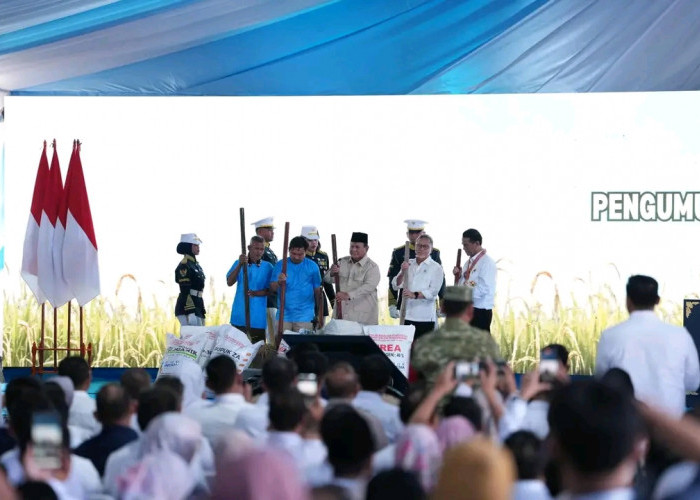 Banyuasin Kokoh di Puncak Nasional, Daerah dengan Produksi Beras Tertinggi di Indonesia