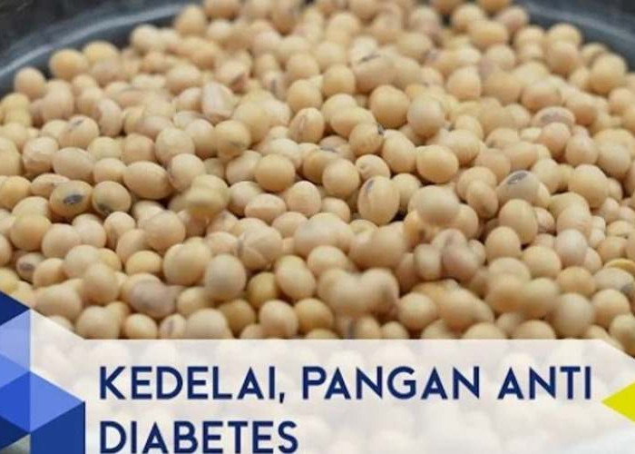 Kulit Glowing dan Sehat? Cek Rahasia Kedelai yang Bikin Semua Orang Penasaran!