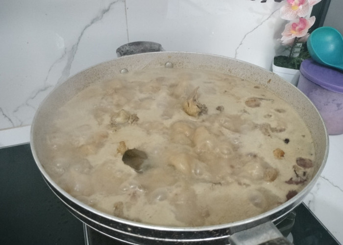 Begini Cara Agar Opor Ayam Tidak Cepat Basi, Awet Tahan Lama Saat Lebaran Idul Fitri 1447 Hijriah