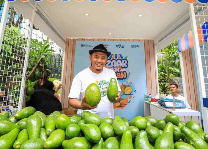 Berkat Program Pemberdayaan BRI Klasterku Hidupku, Petani Ini Berhasil Kembangkan Budidaya Alpukat