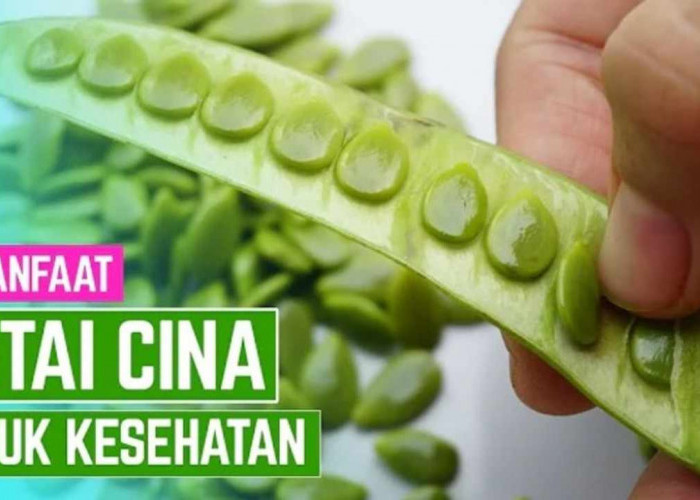 Tak Disangka! 7 Khasiat Petai Cina bagi Kesehatan yang Perlu Anda Ketahui