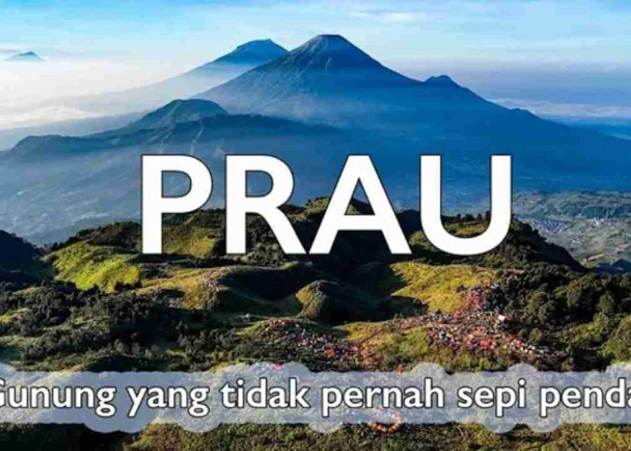 Tantangan Seru dan Pemandangan Memukau di Gunung Prau, Kenapa Harus Coba?