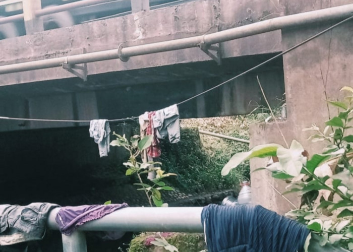 Anak Punk Bermukim di Bawah Jembatan Suak Bara Banyuasin Resahkan Warga, Kerja Dinsos Banyuasin Disorot!