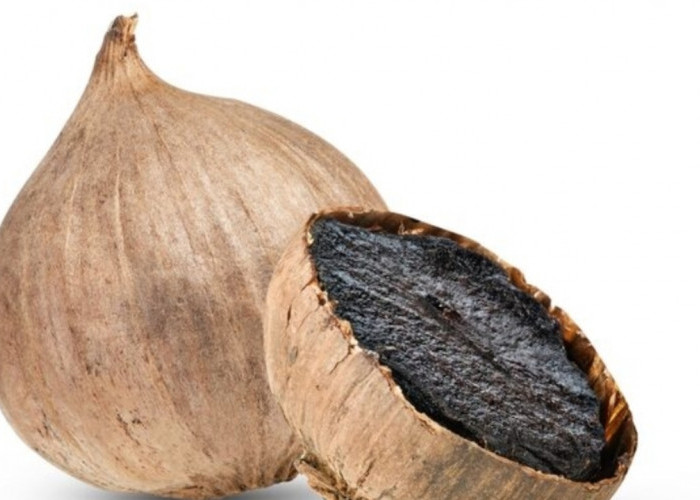 Rutin Konsumsi Bawang Hitam, Hati Lebih Sehat? Ini Faktanya!