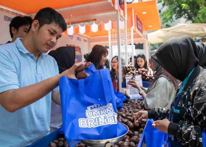 Diberdayakan BRI, Bisnis Klaster Petani Salak Ini Melejit!