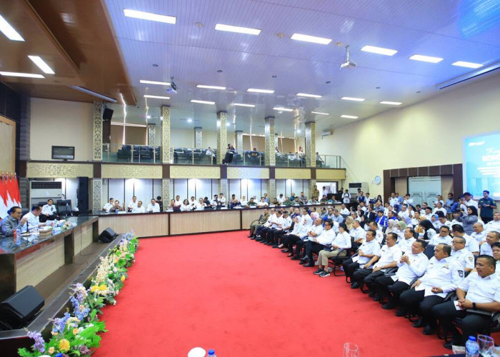 Cik Ujang Paparkan Potensi dan Capaian Pembangunan Sumsel di Hadapan Komisi II DPR RI