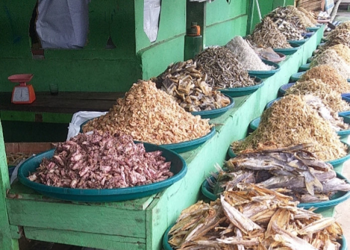 Produksi Ikan Asin Pedagang di Pantai Panjang Bengkulu Berkurang, Ini Penyebabnya