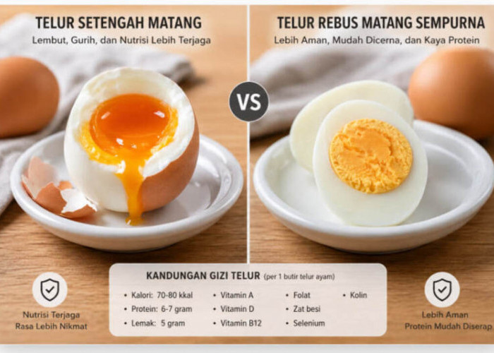Kandungan Gizi Telur Setengah Matang vs Telur Rebus Matang Sempurna, Mana yang Lebih Baik untuk Kesehatan?