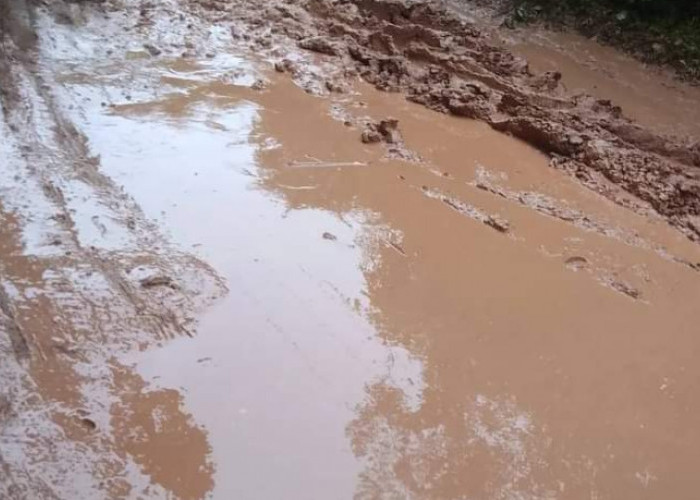 Jalan Bagaikan Bubur, Kadis PUPR Banyuasin : Tahun Ini Bakal Diperbaiki 3 Kilometer