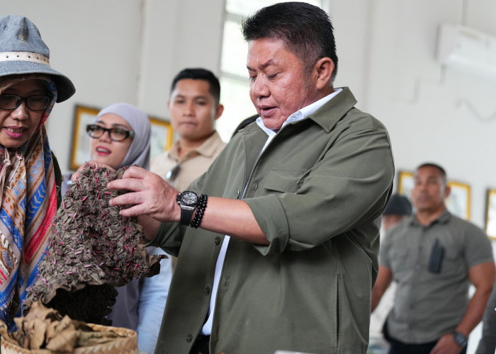 Pemprov Sumsel Dorong Rumah Pewarna Alami Kebun Raya Sriwijaya Jadi Pusat Ekonomi Kreatif