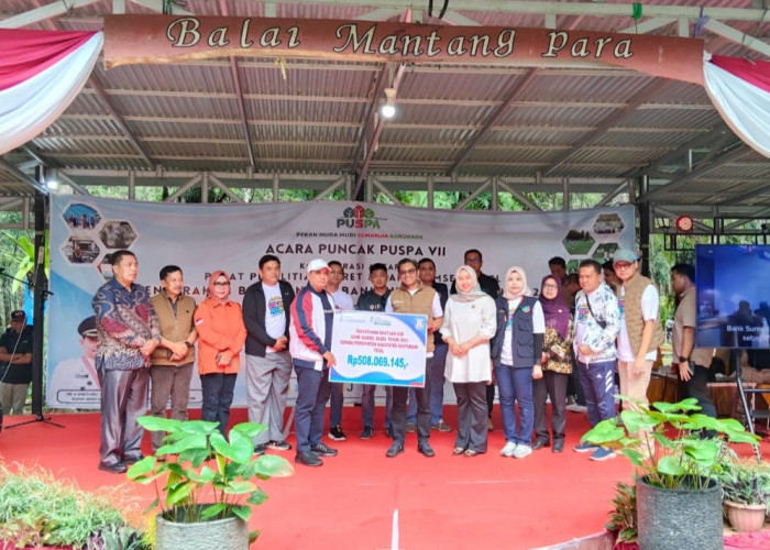 Bank Sumsel Babel Perkuat Komitmen CSR Berkelanjutan melalui Pemberdayaan UMKM di Sembawa Color Run 2025