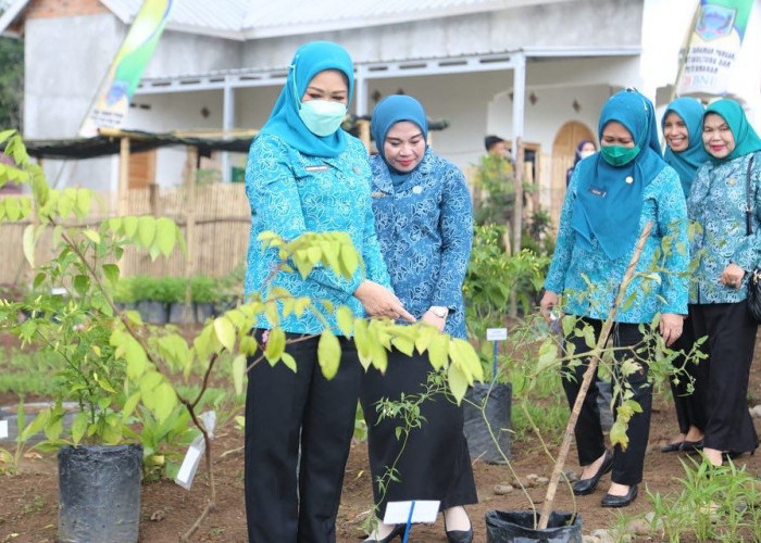 Kunker ke Kabupaten Lahat, Feby Deru Sosialisasikan Revitalisasi Dasawisma dan GSMP