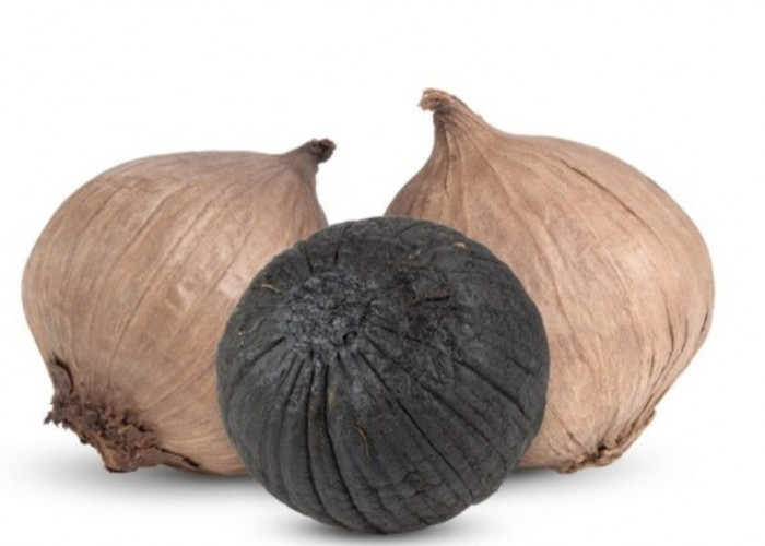Manis dan Lembut, Ternyata Bawang Hitam Punya Khasiat Luar Biasa!