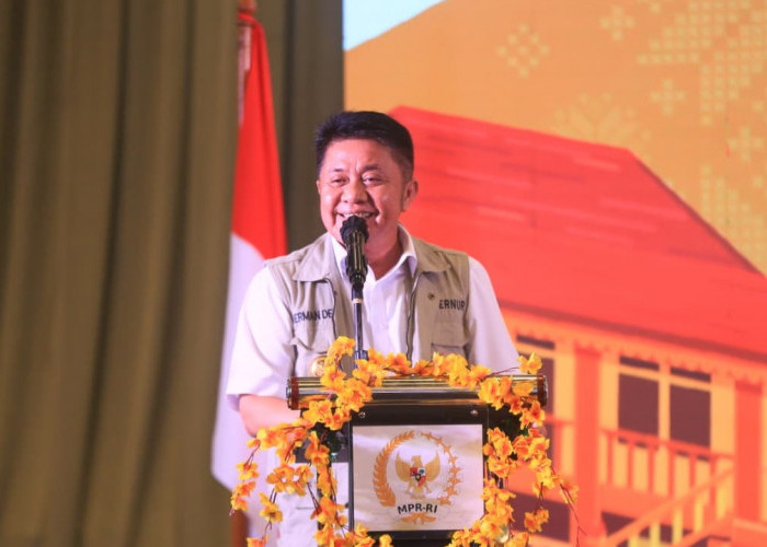 Gubernur Sumsel Usulkan Skema Dukungan Fiskal Daerah Lewat Obligasi Daerah