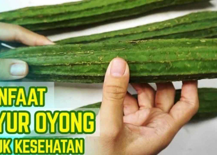 Bukan Sayur Biasa! 9 Khasiat Oyong yang Jarang Diketahui Orang!