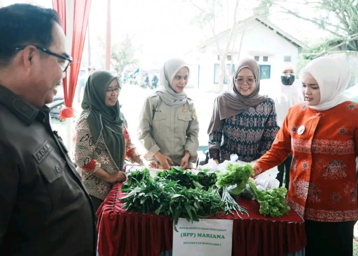 Operasi Pasar Murah di Mariana Dinilai Tak Berdampak, Harga di Pasaran Tetap Tinggi