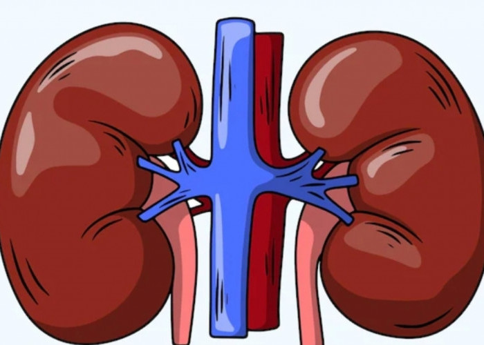 TBC Ginjal yang Diidap Lucky Element: Kenali Gejala, Penyebab, dan Pencegahan Sejak Dini