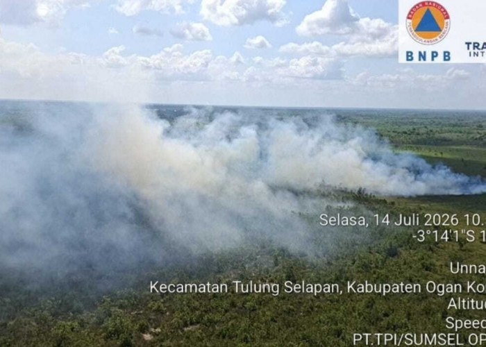 Karhutla Meningkat, Empat Daerah di Sumsel Berstatus Zona Oranye hingga Pertengahan Juli 2026