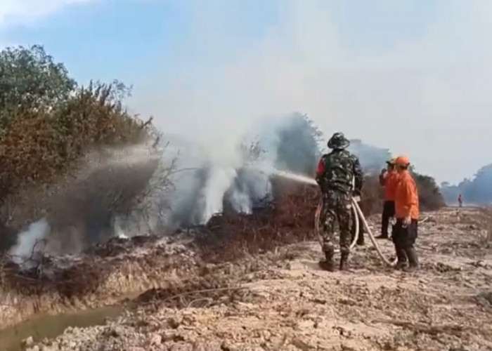 5 Hektar Lahan Gambut di Desa Ujung Tanjung Banyuasin Terbakar, Petugas Masih Lakukan Pemadaman