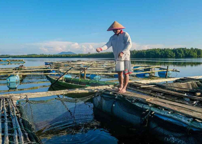 Terus Dorong Pelaku UMKM Naik Kelas, BRI Telah Salurkan KUR Rp158,6 Triliun