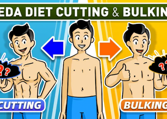 Pilih Bulking atau Cutting? Yuk, Kupas Tuntas Strategi Biar Body Goals!