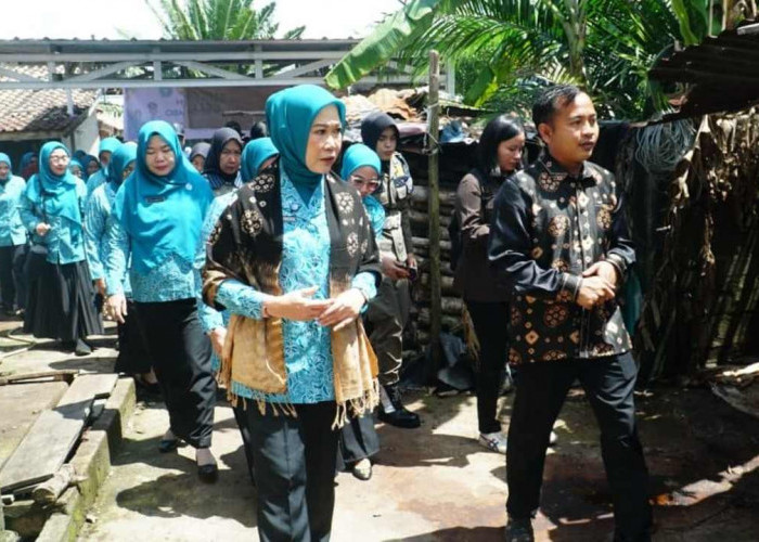 Feby Deru Blusukan ke Perajin Gambo Babat Toman, Dorong Produk Lokal Sumsel Tembus Pasar Global